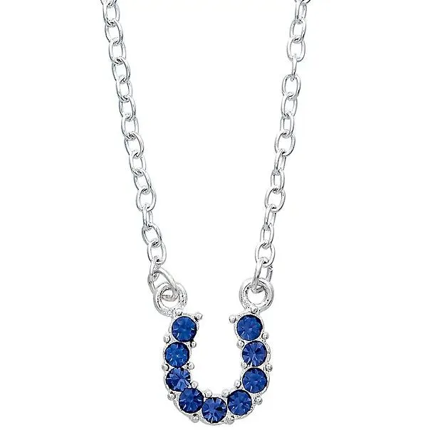 AWST Int'l Aqua Rhinestone Horseshoe Necklace w/Horse Head Gift Box