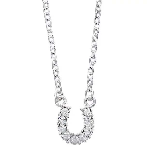 AWST Int'l Aqua Rhinestone Horseshoe Necklace w/Horse Head Gift Box