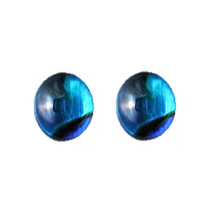 Paua 7mm Oval Stud Earrings