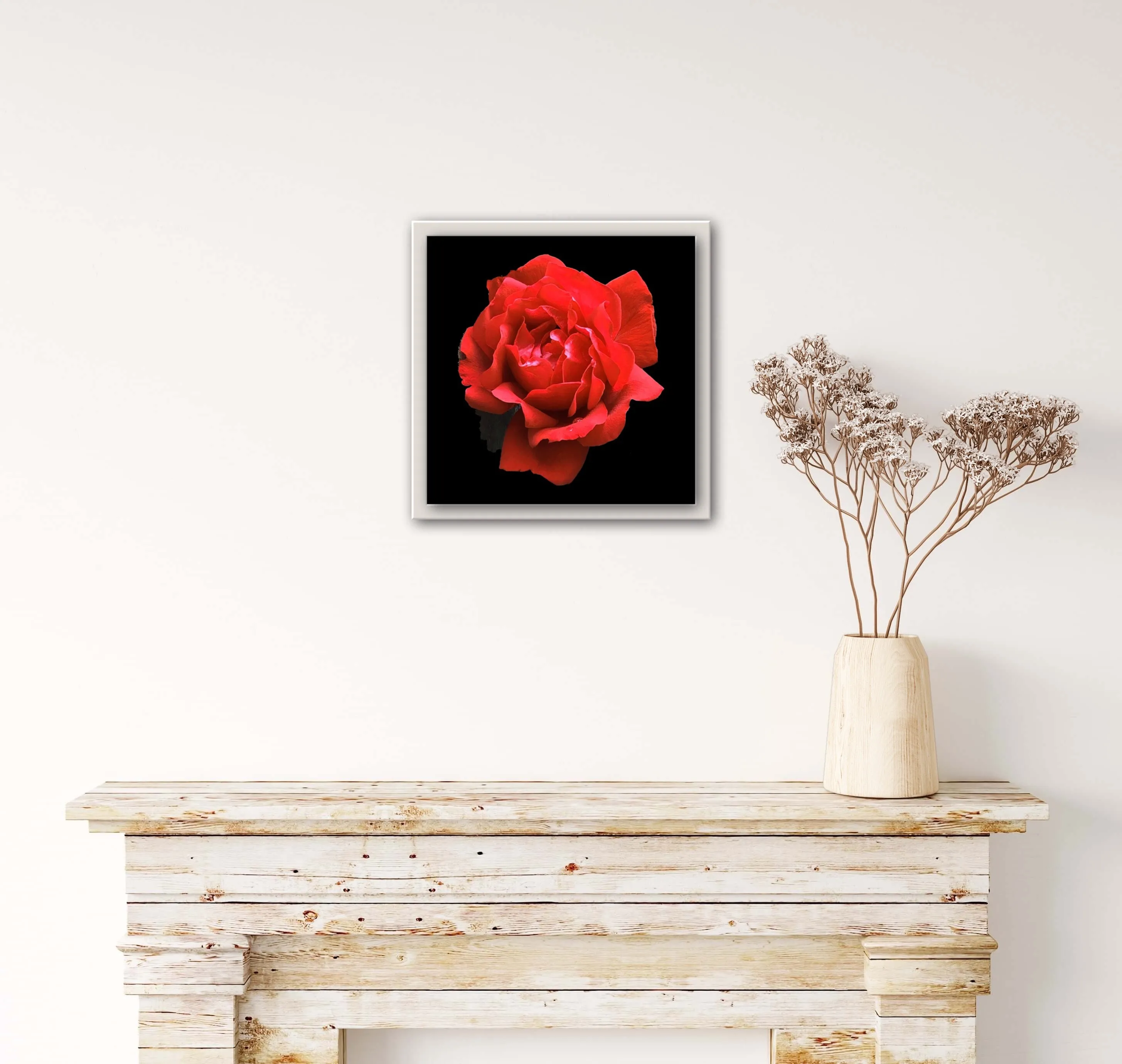 Red Rose Print C-Type Print